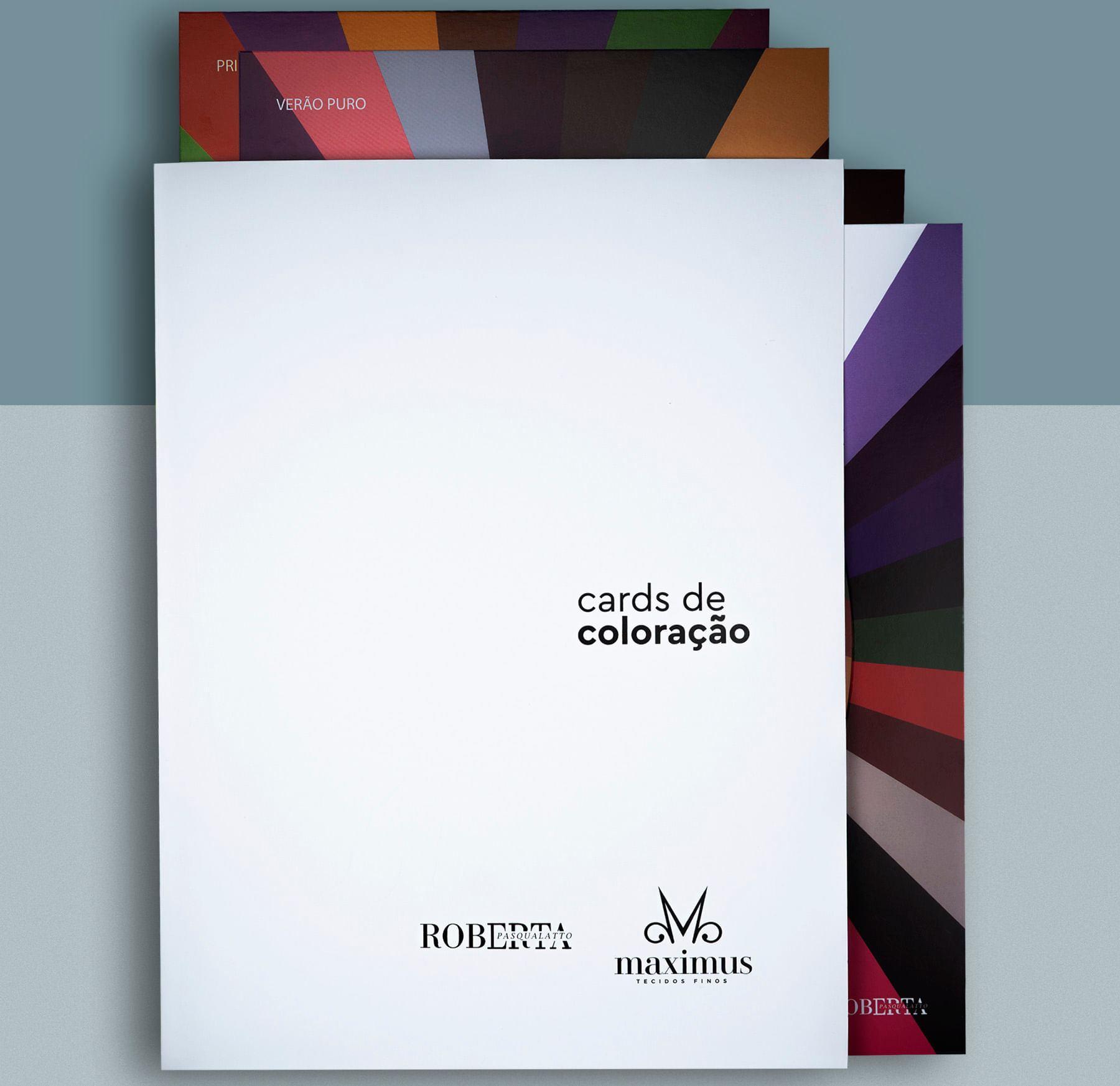 Cards-de-coloracao-Cartela-cores-para-profissionais-da-moda-by-Roberta-Pasqualato-5